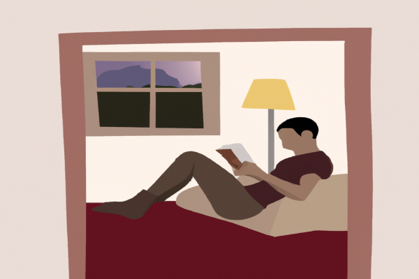 An illustration of a reader enjoying Predictably Irrational by Dan Ariely in a cosy interior